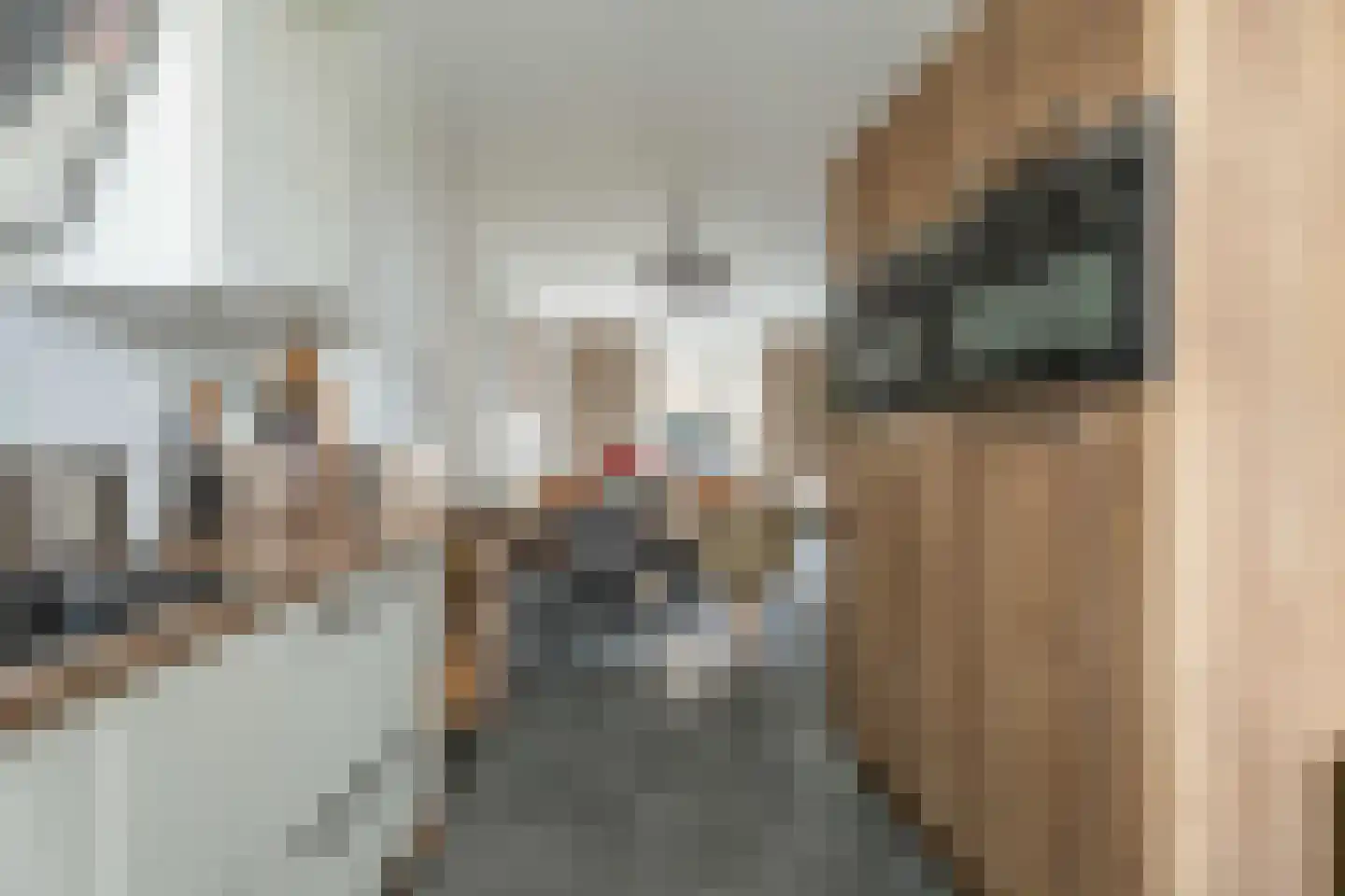 Tribunepad 2 Rijnsburg thumbnail 8