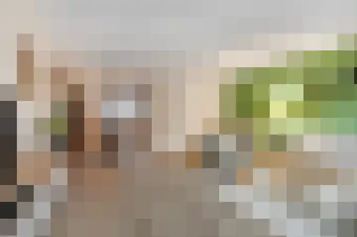 Tribunusallee 22 Huissen thumbnail 11