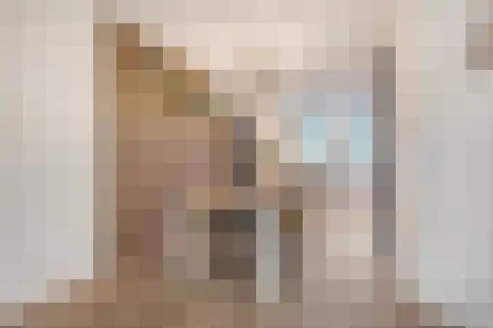 Tribunusallee 22 Huissen thumbnail 15