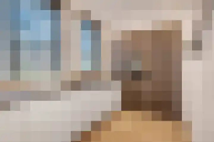 Tribunusallee 22 Huissen thumbnail 18