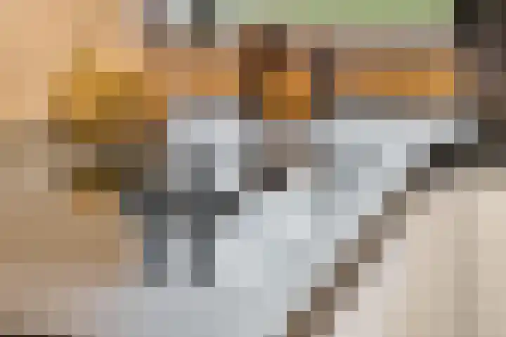 Tribunusallee 22 Huissen thumbnail 22