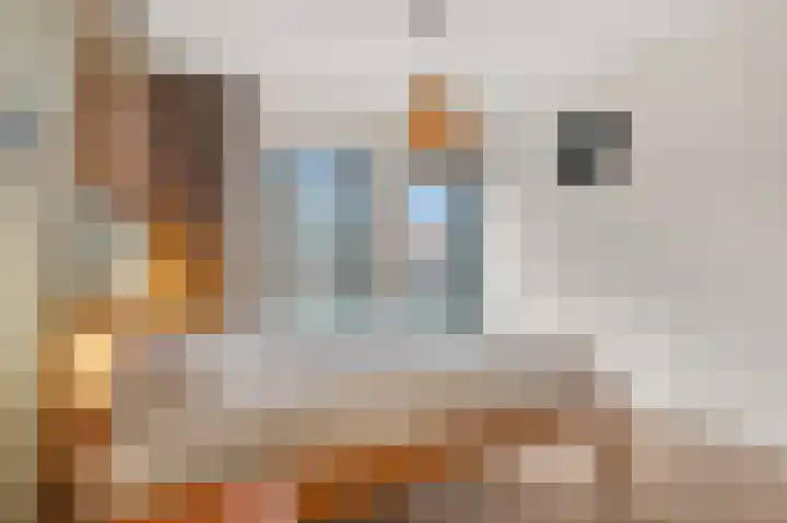 Tribunusallee 22 Huissen thumbnail 25