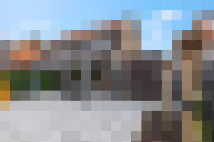 Tribunusallee 22 Huissen thumbnail 41