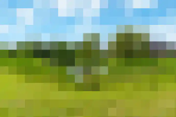 Tribunusallee 22 Huissen thumbnail 45