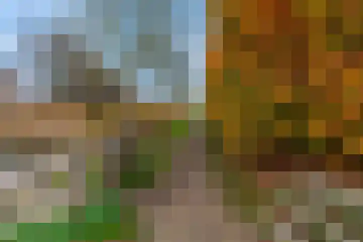 Tribunusallee 22 Huissen thumbnail 46