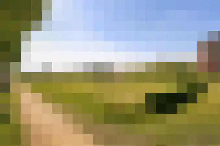 Tribunusallee 22 Huissen thumbnail 47