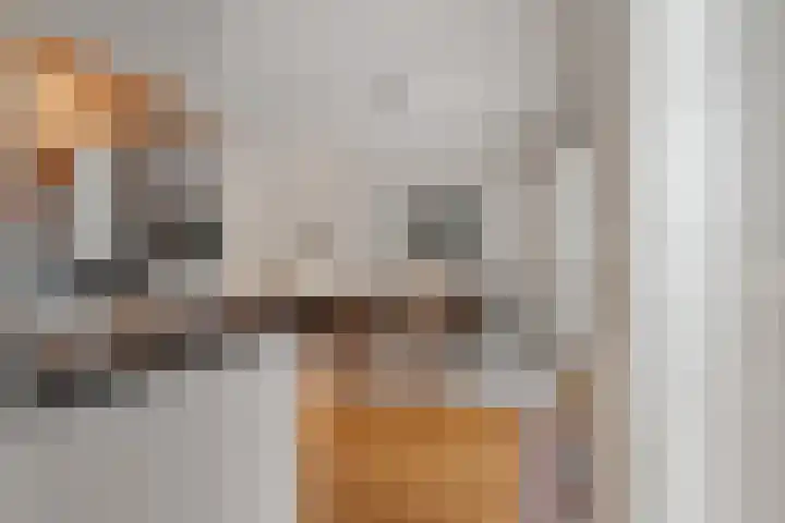 Tribunusallee 28 Huissen thumbnail 13