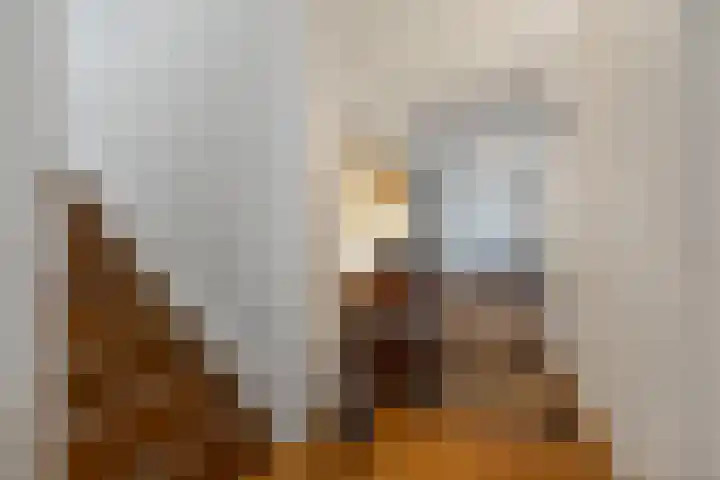 Tribunusallee 28 Huissen thumbnail 21