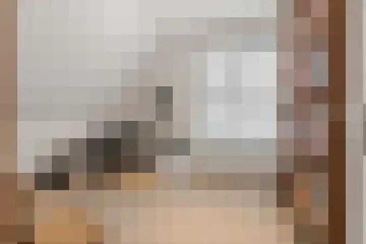 Tribunusallee 28 Huissen thumbnail 25