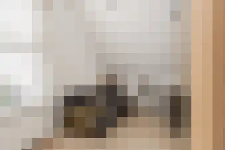 Tribunusallee 28 Huissen thumbnail 27