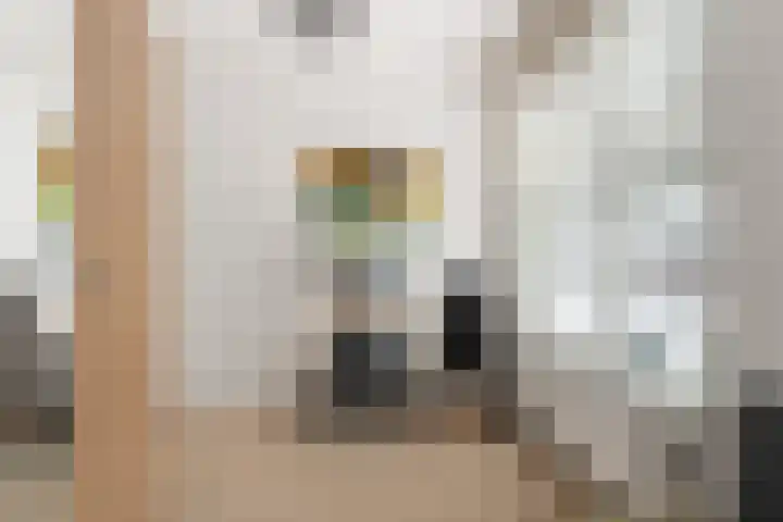Tribunusallee 28 Huissen thumbnail 28