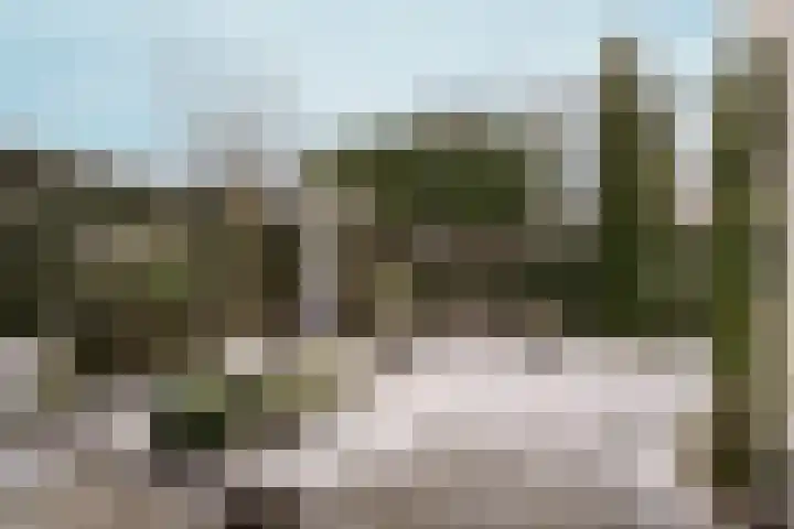 Tribunusallee 28 Huissen thumbnail 36