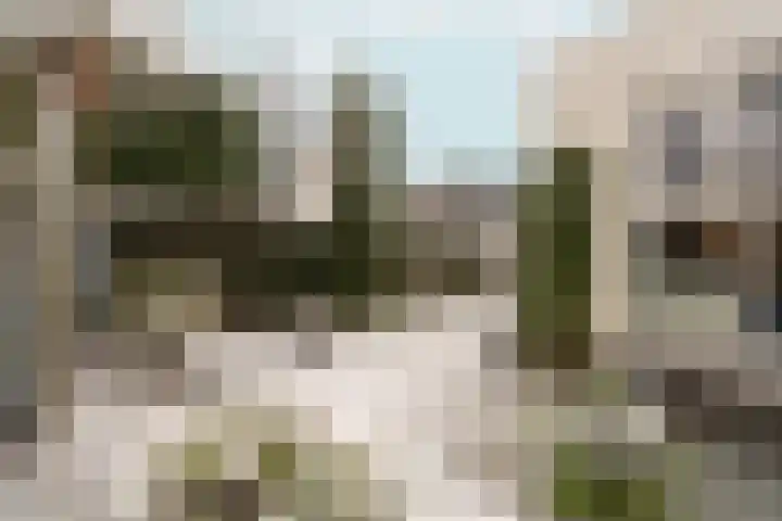 Tribunusallee 28 Huissen thumbnail 37