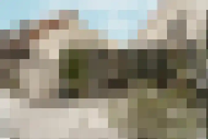 Tribunusallee 28 Huissen thumbnail 38