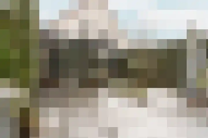 Tribunusallee 28 Huissen thumbnail 39