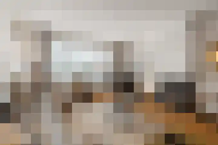 Tribunusallee 28 Huissen thumbnail 4