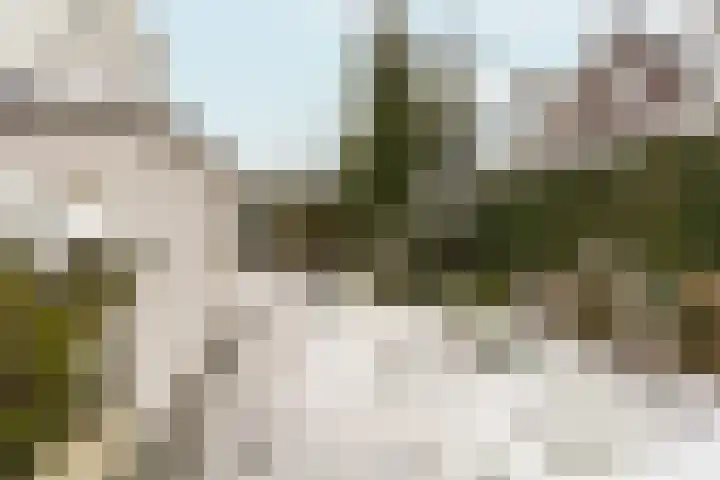 Tribunusallee 28 Huissen thumbnail 41