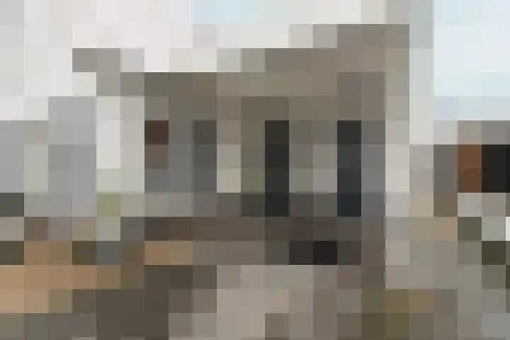 Tribunusallee 28 Huissen thumbnail 46