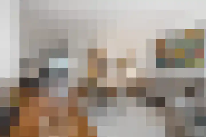 Tribunusallee 28 Huissen thumbnail 6