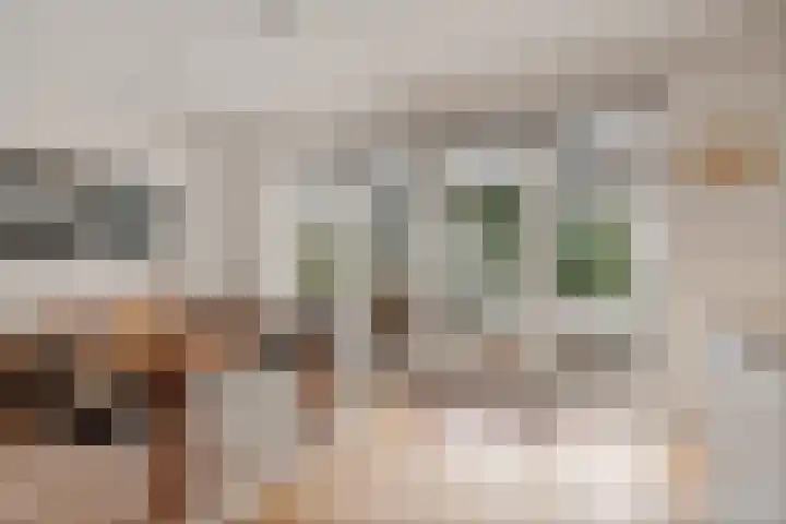 Tribunusallee 28 Huissen thumbnail 8