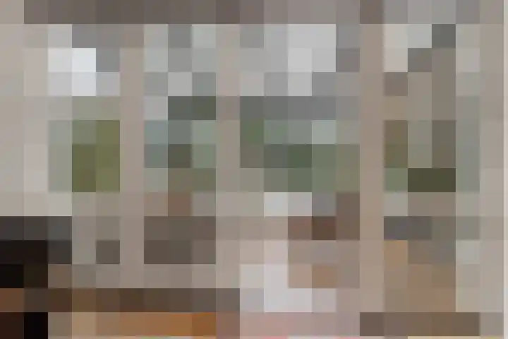 Tribunusallee 28 Huissen thumbnail 9
