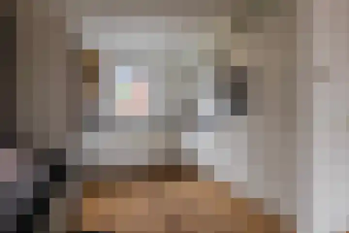 Tribunusallee 3 Huissen thumbnail 13