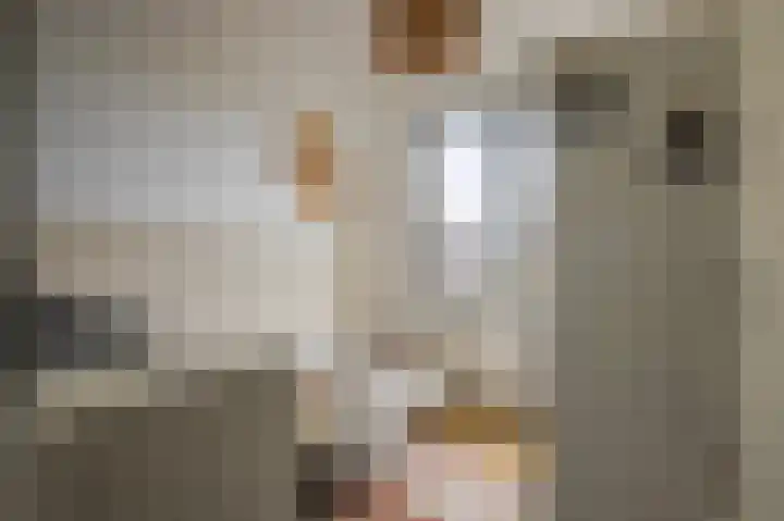 Tribunusallee 3 Huissen thumbnail 21