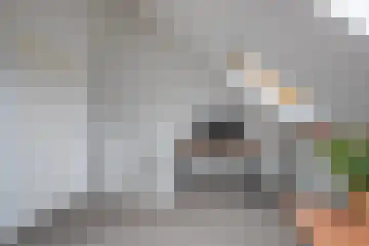 Tribunusallee 3 Huissen thumbnail 23