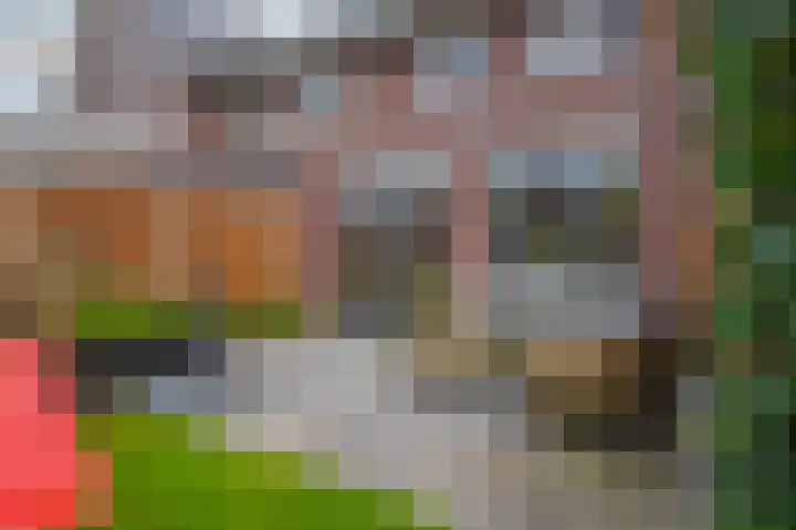 Tribunusallee 3 Huissen thumbnail 28