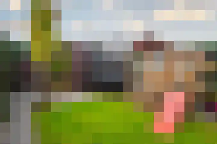 Tribunusallee 3 Huissen thumbnail 31