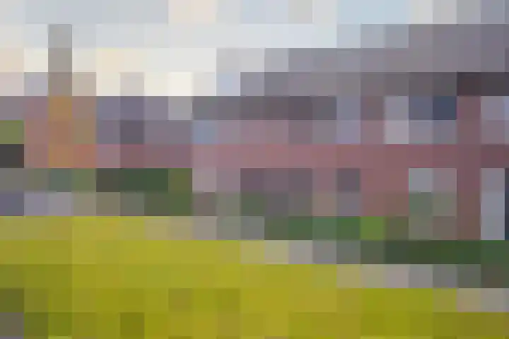 Tribunusallee 3 Huissen thumbnail 32
