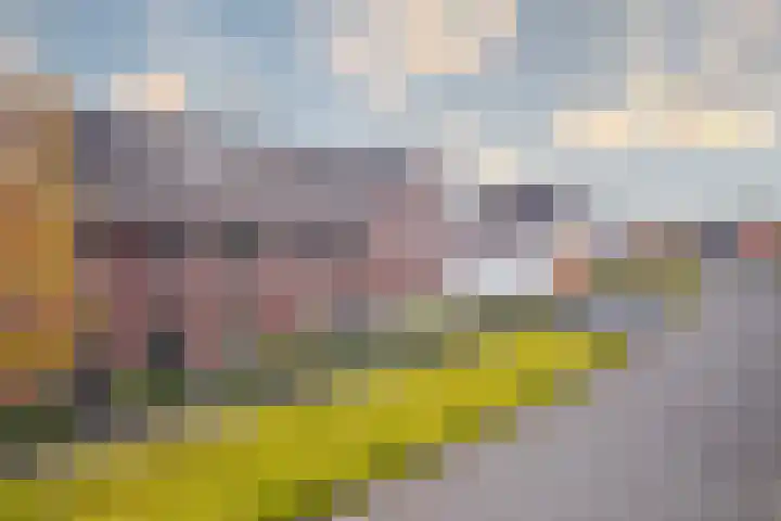 Tribunusallee 3 Huissen thumbnail 33