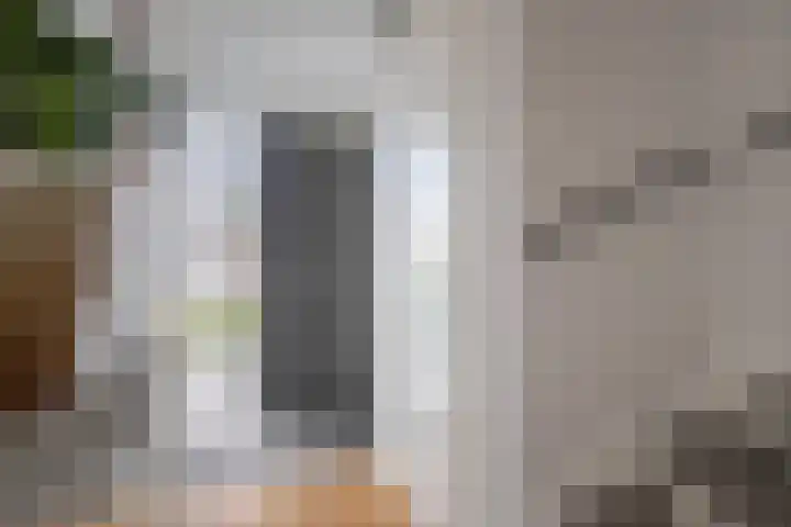 Tribunusallee 3 Huissen thumbnail 5