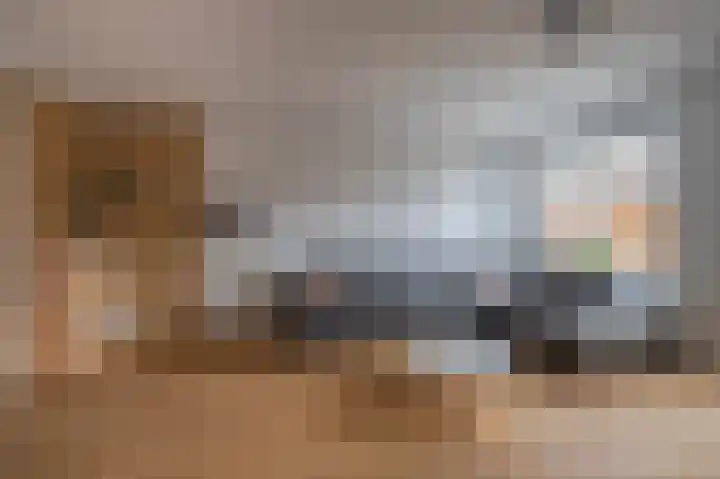 Tribunusallee 3 Huissen thumbnail 9