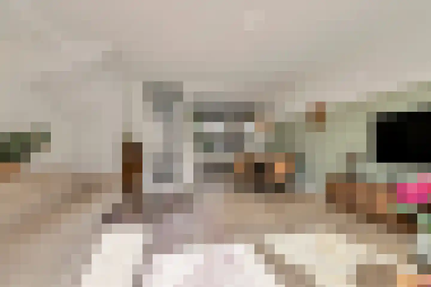 Tribunusallee 37 Huissen thumbnail 12