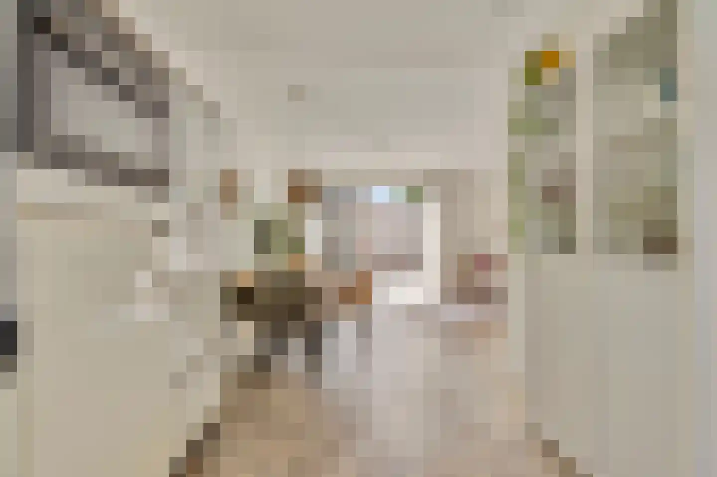 Tribunusallee 37 Huissen thumbnail 15