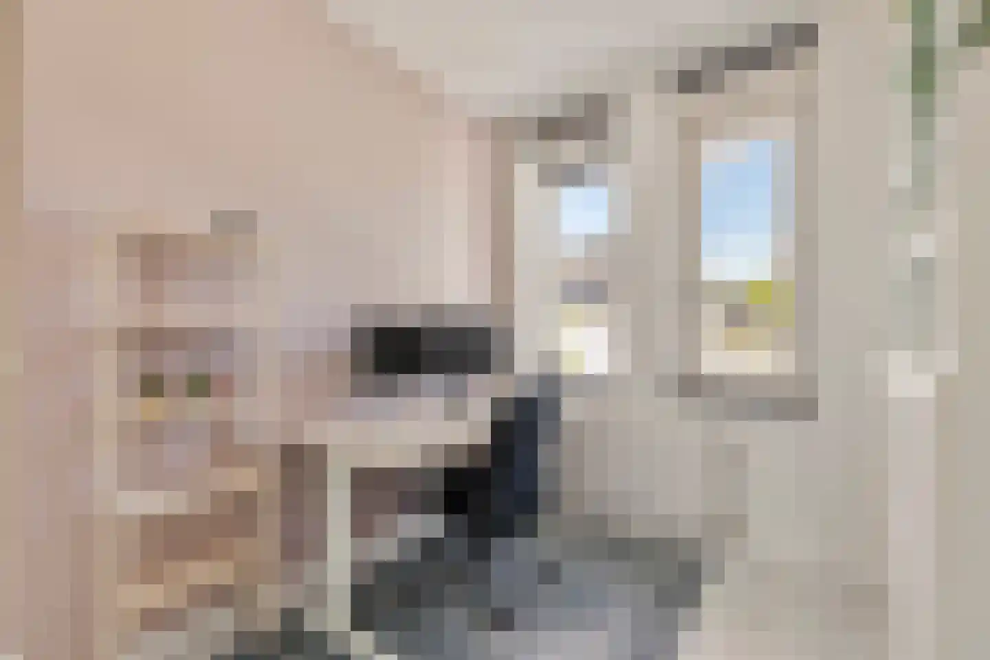 Tribunusallee 37 Huissen thumbnail 18