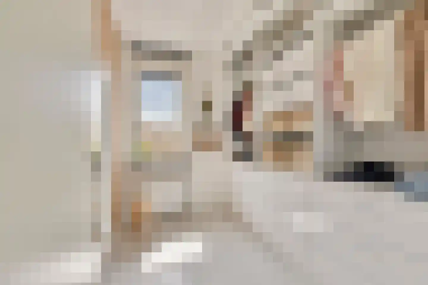Tribunusallee 37 Huissen thumbnail 19