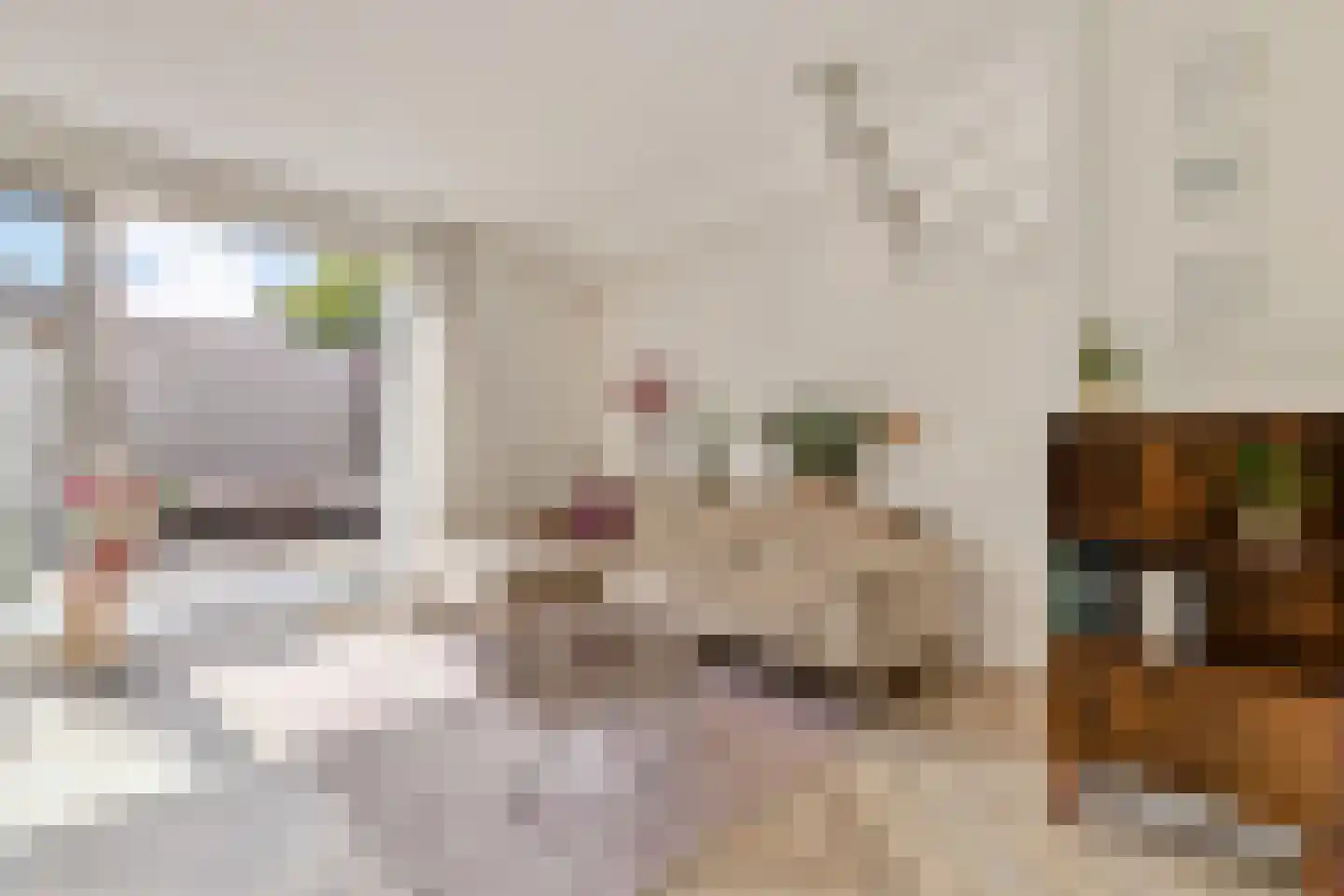 Tribunusallee 37 Huissen thumbnail 6