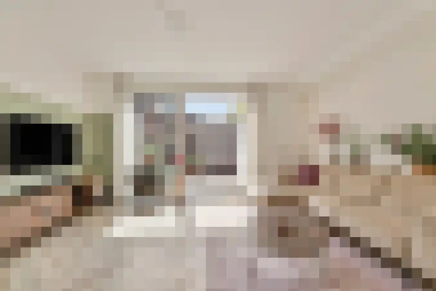Tribunusallee 37 Huissen thumbnail 7
