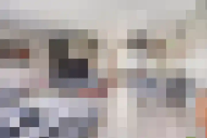 Tribunusallee 89 Huissen thumbnail 12