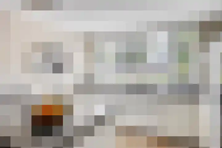 Tribunusallee 89 Huissen thumbnail 15