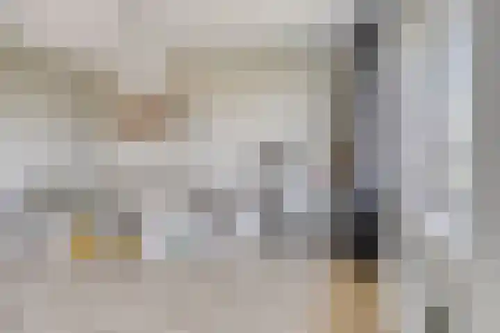 Tribunusallee 89 Huissen thumbnail 20
