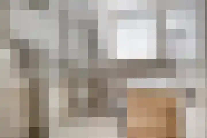 Tribunusallee 89 Huissen thumbnail 31