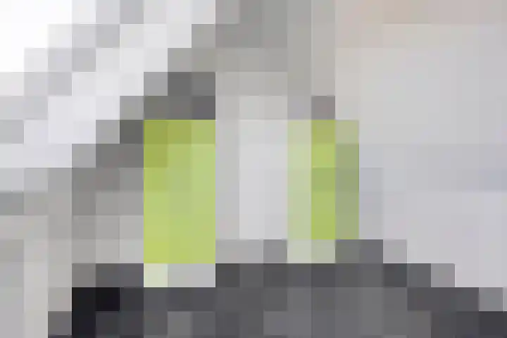 Tribunusallee 89 Huissen thumbnail 36