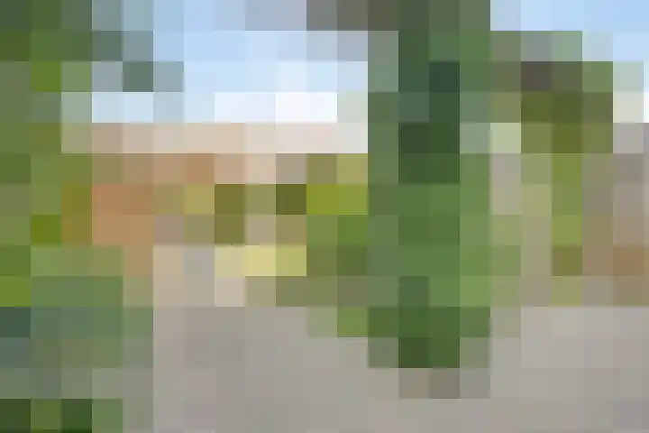 Tribunusallee 89 Huissen thumbnail 37