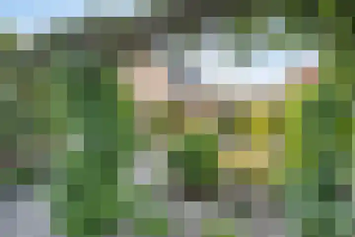Tribunusallee 89 Huissen thumbnail 38