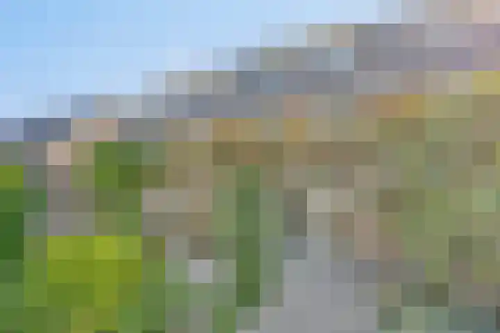 Tribunusallee 89 Huissen thumbnail 39