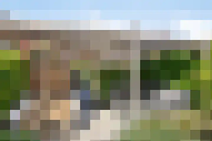 Tribunusallee 89 Huissen thumbnail 41