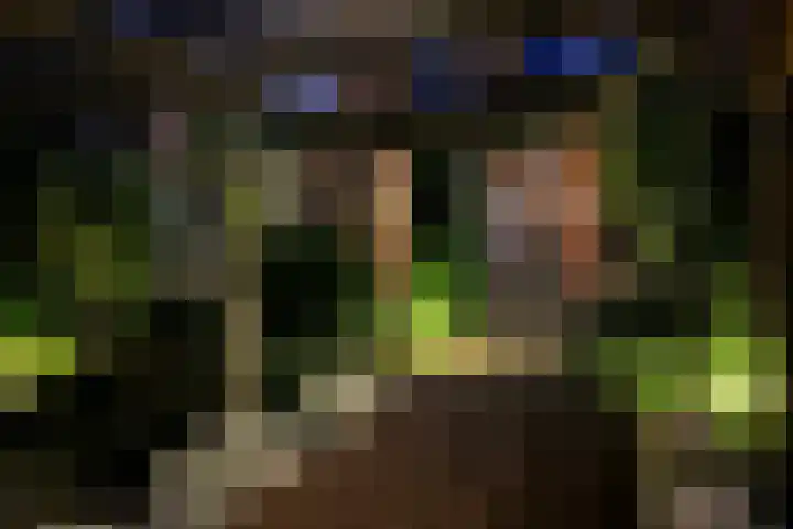 Tribunusallee 89 Huissen thumbnail 43